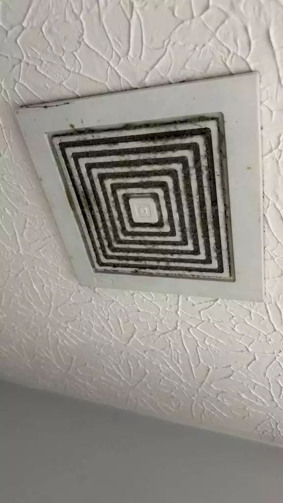 1 (1)