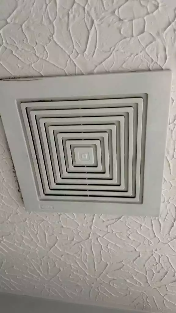 1 (2)