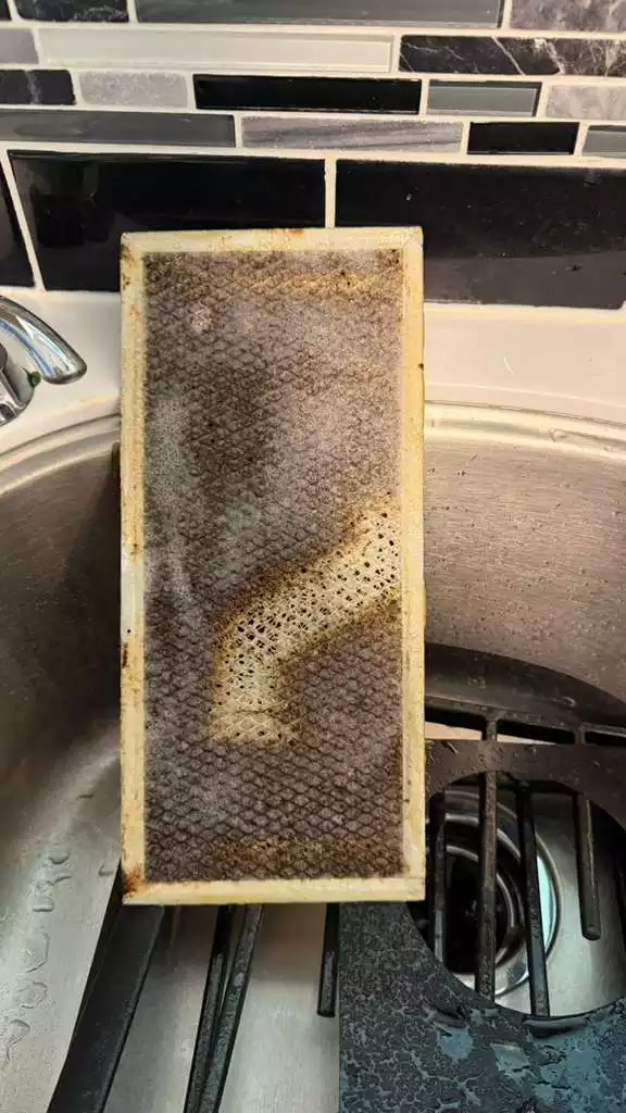 g (1)