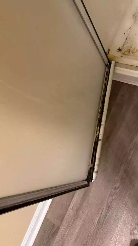 v (5)