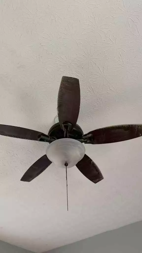x (4)