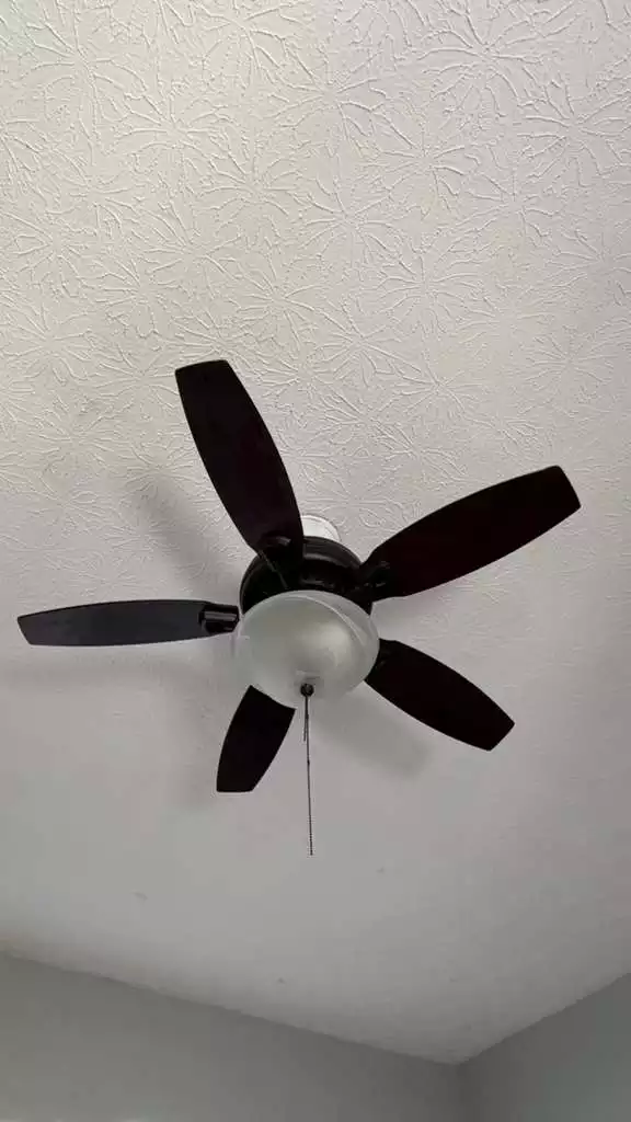 x (5)